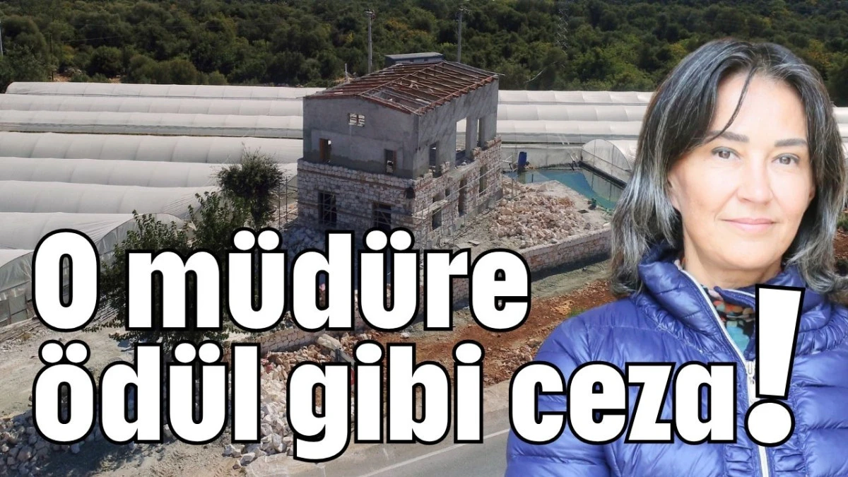 O müdüre ödül gibi ceza!   