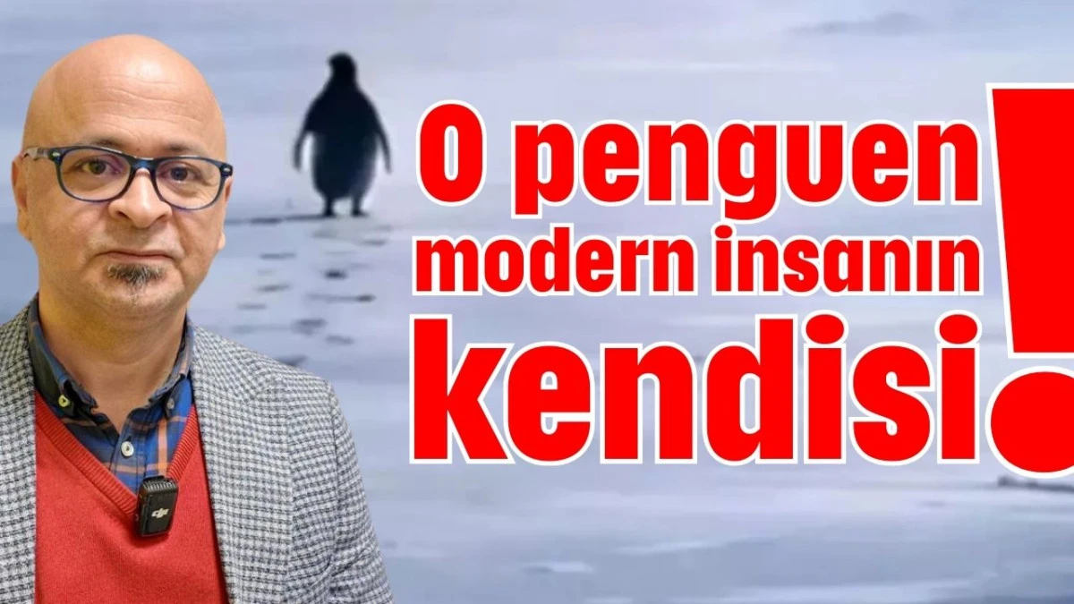 O penguen modern insanın kendisi!
