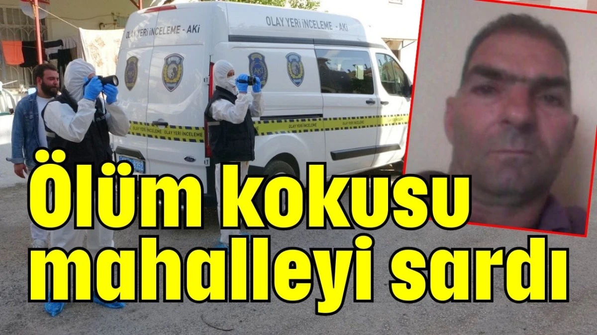 Ölüm kokusu mahalleyi sardı 