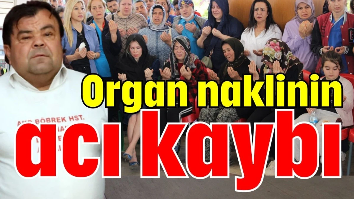 Organ naklinin acı kaybı 
