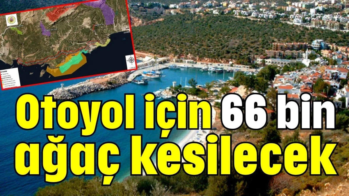 Otoyol için 66 bin ağaç kesilecek  