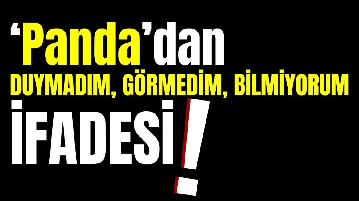 &lsquo;Panda&rsquo;dan duymadım, g&ouml;rmedim, bilmiyorum ifadesi!