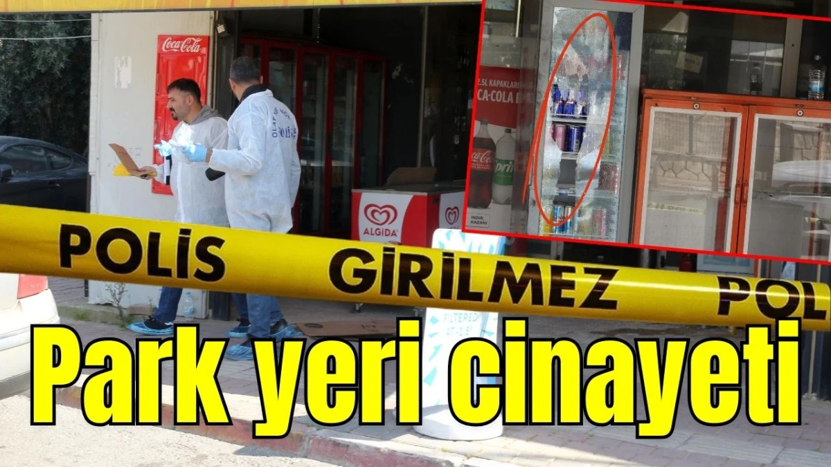 Park yeri cinayeti 
