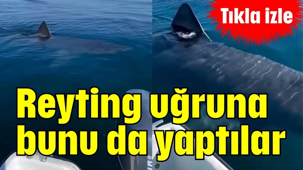 Reyting uğruna bunu da yaptılar  