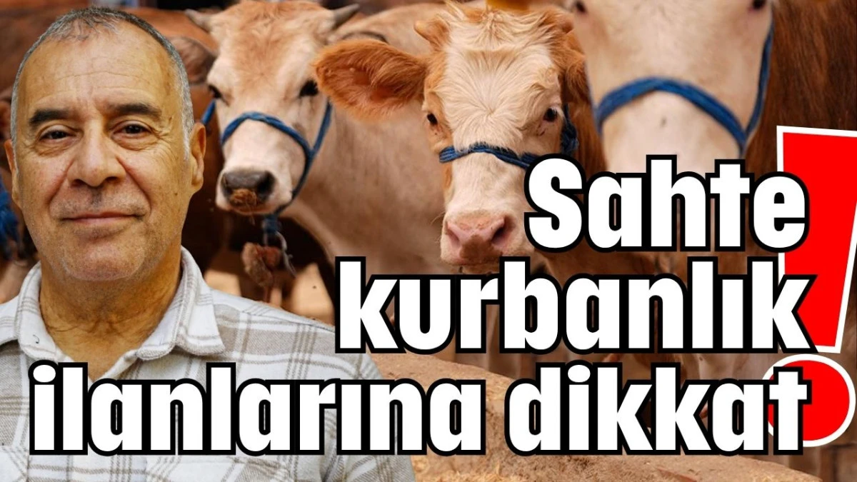 Sahte kurbanlık ilanlarına dikkat!