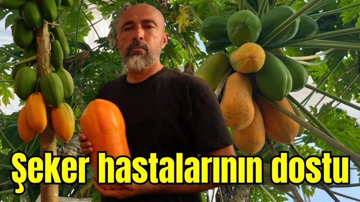 Şeker hastalarının dostu 