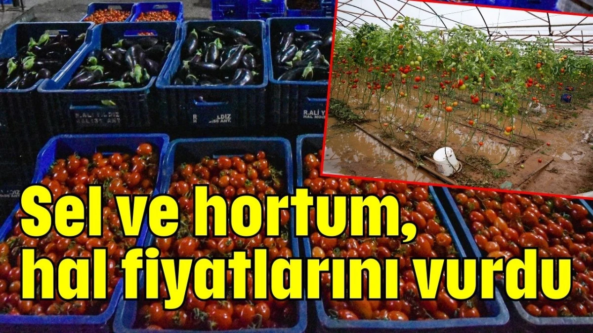 Sel ve hortum, hal fiyatlarını vurdu
