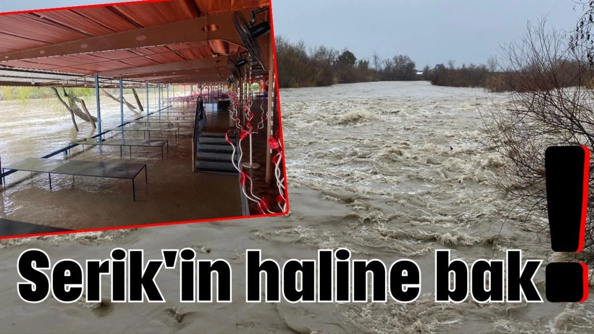 Serik'in haline bak! 