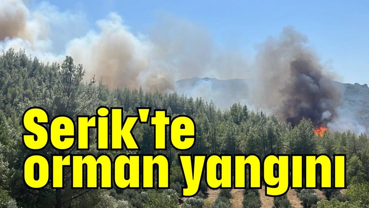 Serik'te orman yangını  