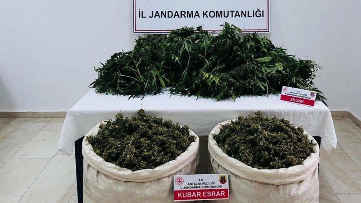 Serik'te uyuşturucu operasyonu 1 kişi tutuklandı 