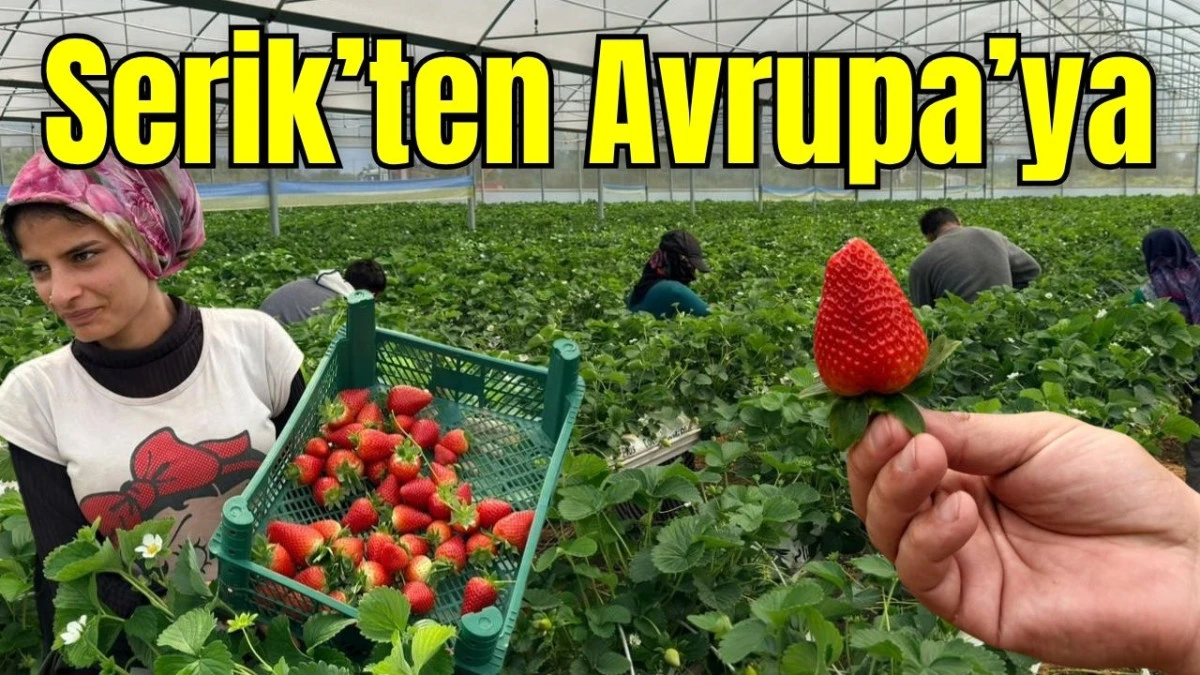 Serik&rsquo;ten Avrupa&rsquo;ya 