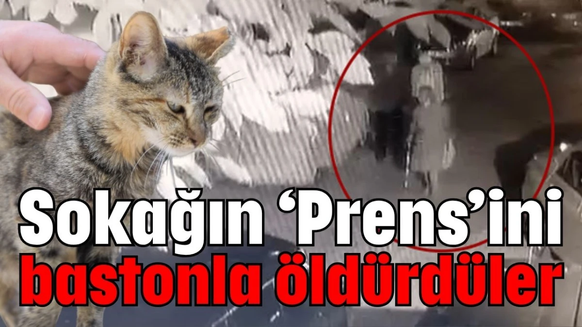 Sokağın ‘Prens’ini bastonla öldürdüler 