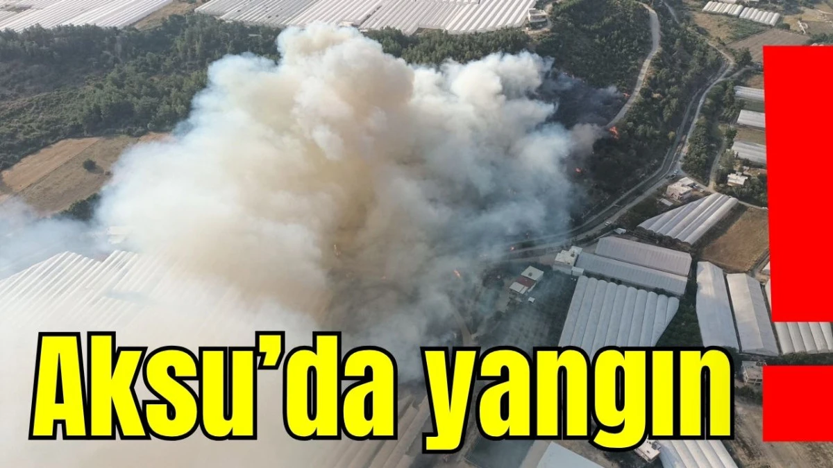 Son Dakika... Antalya Aksu'da yangın!