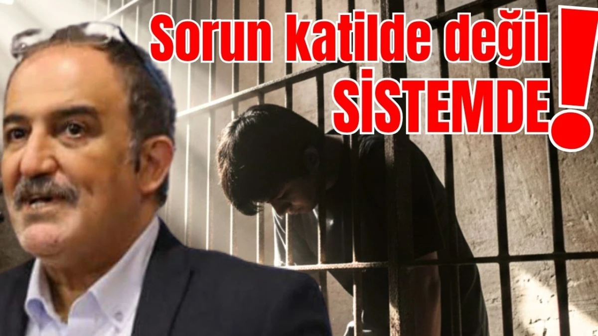 Sorun katilde değil sistemde!