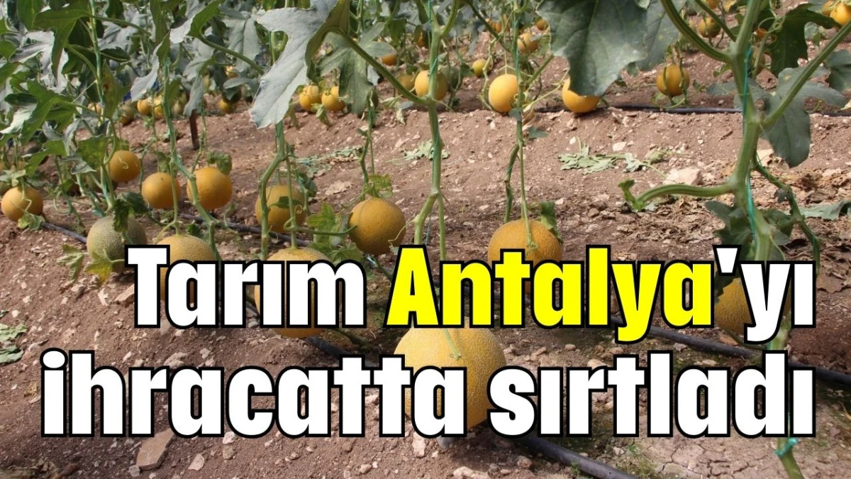  Tarım Antalya'yı ihracatta sırtladı  