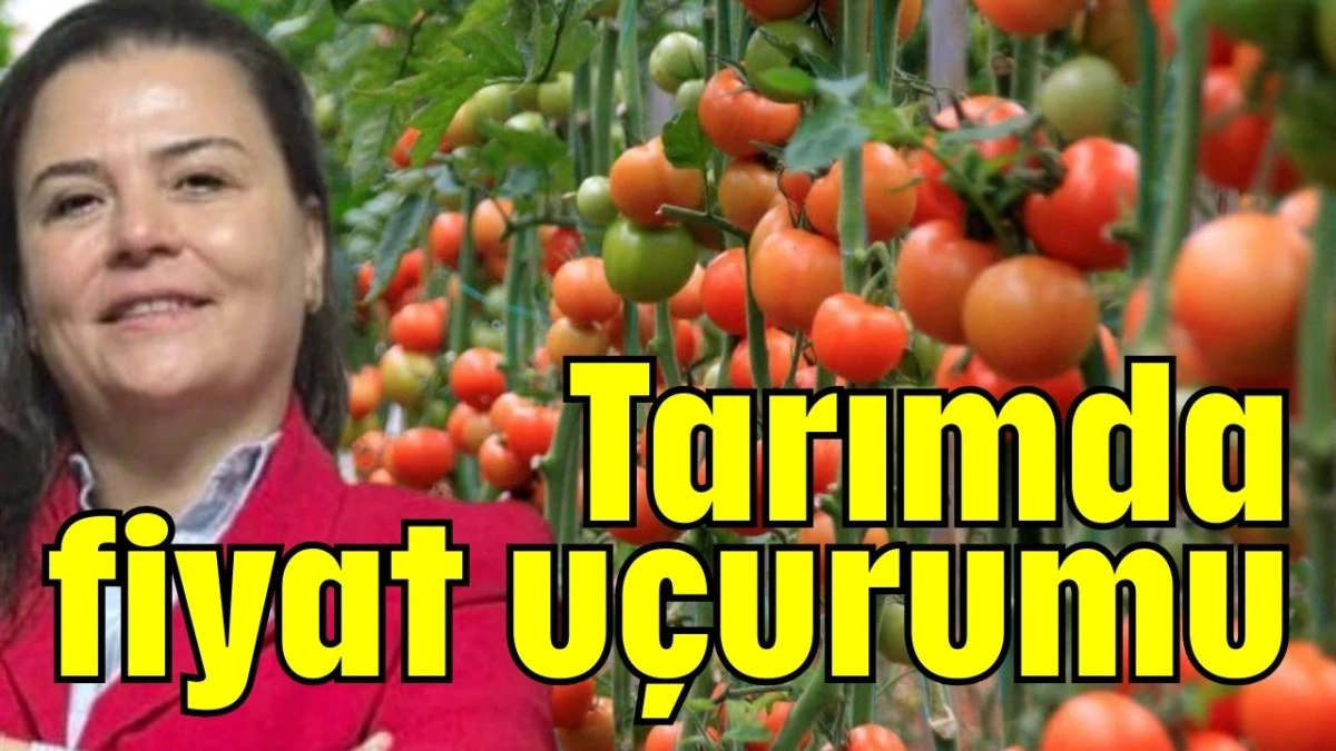 Tarımda fiyat u&ccedil;urumu  