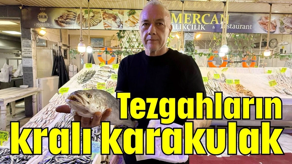 Tezgahların kralı karakulak   