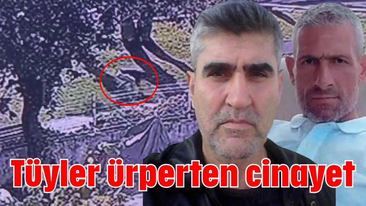 Tüyler ürperten cinayet     