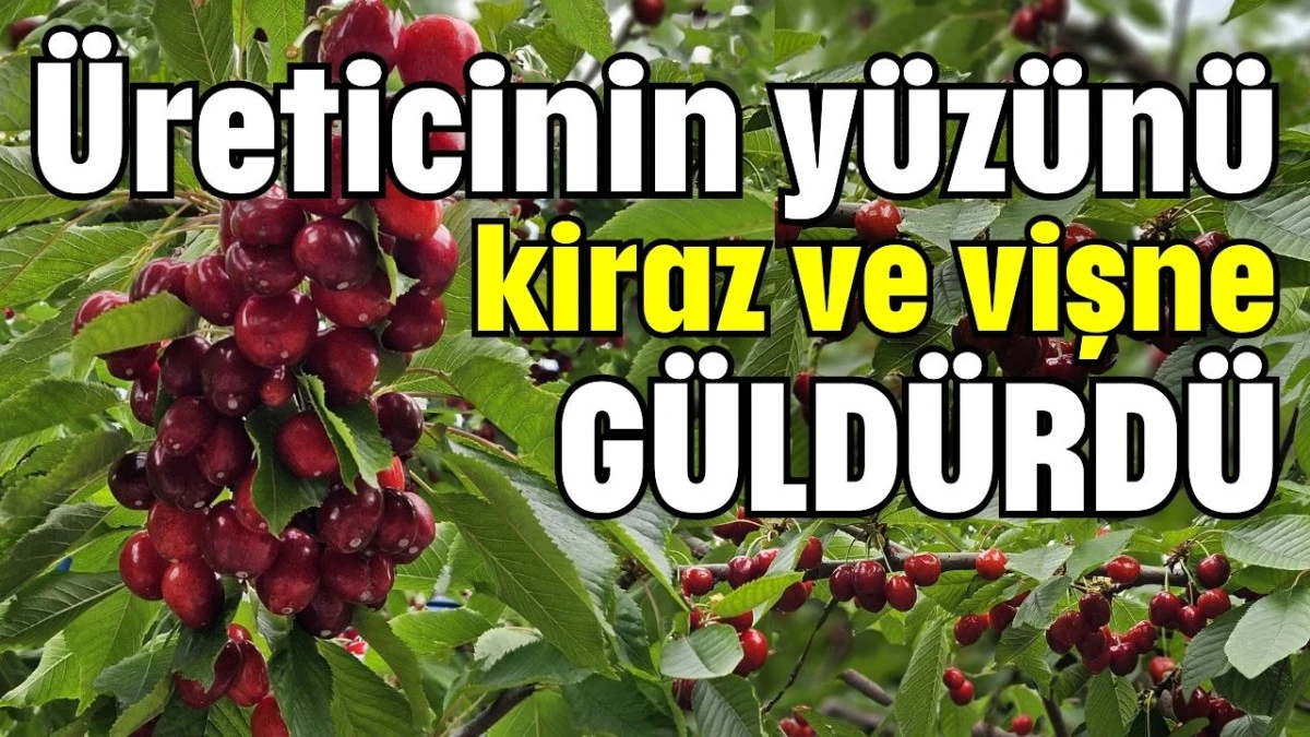 &Uuml;reticinin y&uuml;z&uuml;n&uuml; kiraz ve vişne g&uuml;ld&uuml;rd&uuml; 