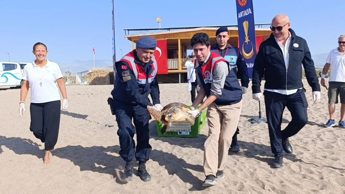 Yaralı caretta caretta yeniden denize döndü