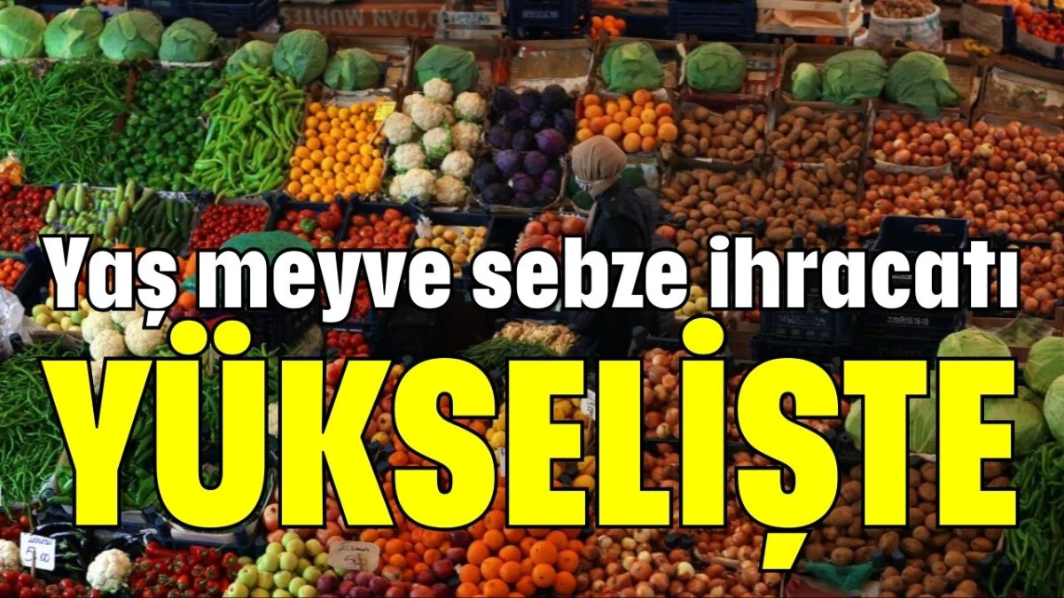 Yaş meyve sebze ihracatı y&uuml;kselişte 