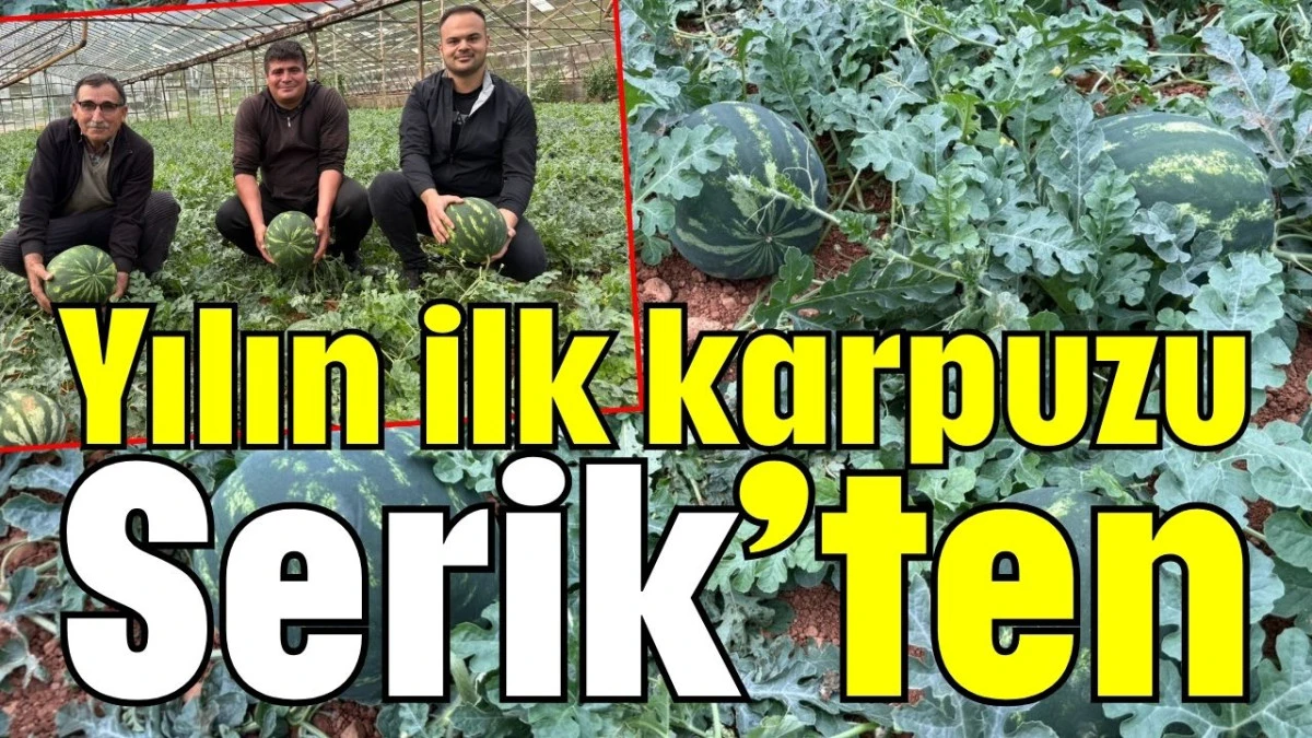 Yılın ilk karpuzu Serik&rsquo;ten 