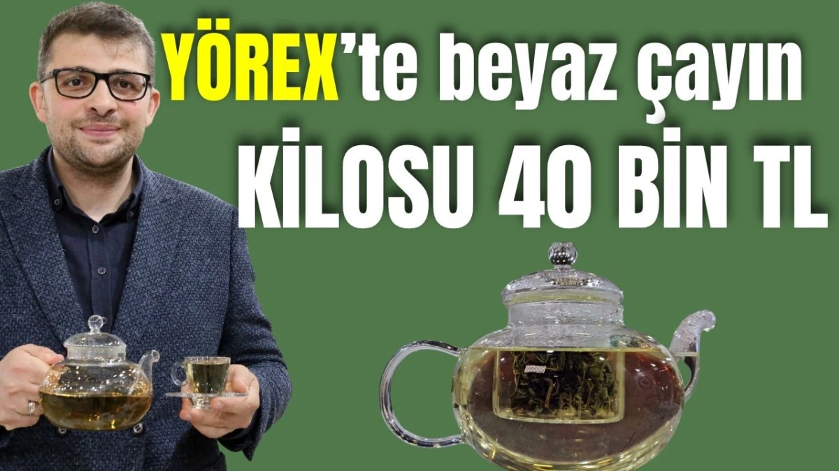 Y&Ouml;REX'te beyaz &ccedil;ayın kilosu 40 bin TL