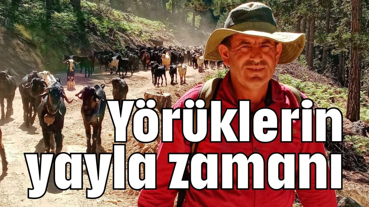 Yörüklerin yayla zamanı    