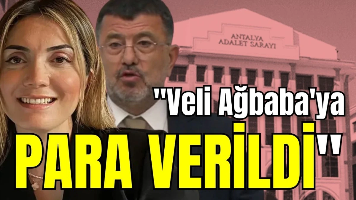 Zuhal B&ouml;cek, 'Veli Ağbaba'ya para verildi'